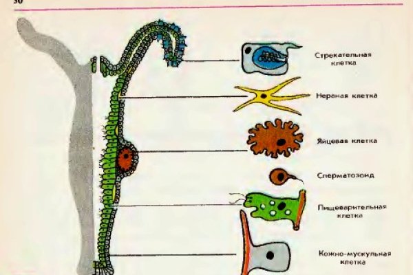 Пользователь не найден кракен даркнет