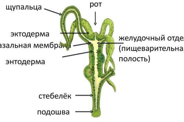 Кракен наркоз магазин