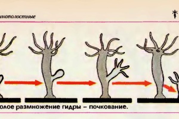 Ссылка на кракен kr2link co