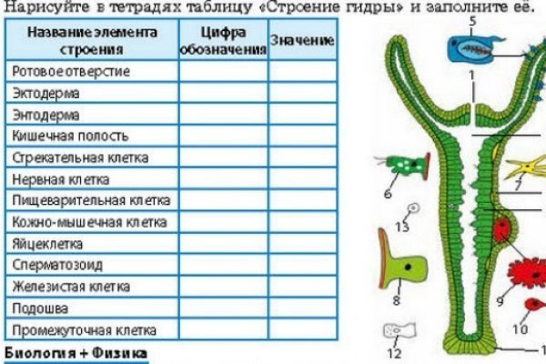 Кракен маркет kr2web in