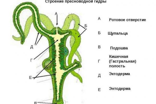 Ссылка адрес на кракен тор