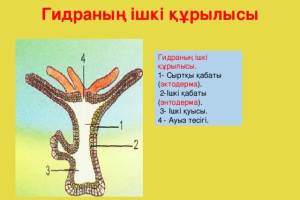 Кракен ссылка bazaonion com