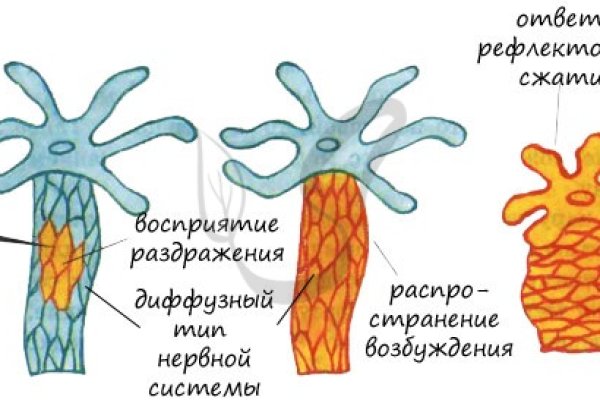 Кракен переходник ссылка